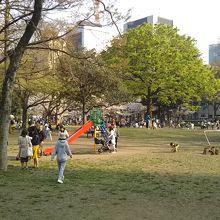 お花見もできる