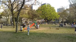 自転車置き場まである児童用の公園