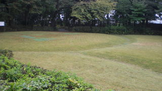 飛鳥山遺跡については、従来、あまり知られていませんでしたが、発掘調査が進んでいるようです。