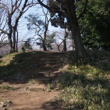 飛鳥山古墳の姿ですが、細部は良く解りません。公園の東側です。