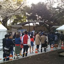 屋外なので雨のリスクがあるが、ファンにとっては関係ないか