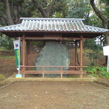 飛鳥山碑の石碑です。徳川吉宗を顕彰。この背後が、古墳遺跡です