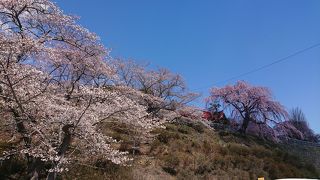 無料部分だけでも気軽に楽しめる
