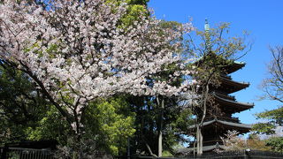 上野東照宮境内からも見られます