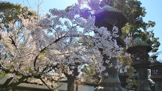 存在感があります