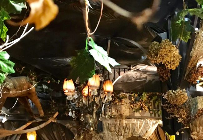 エセルの中庭 クチコミ アクセス 営業時間 高円寺 フォートラベル