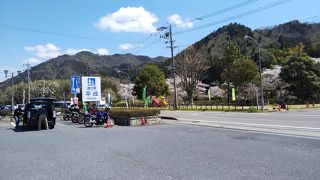 しいたけ丼はソースよりみそ味をオススメします