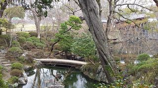 季節ではなかった