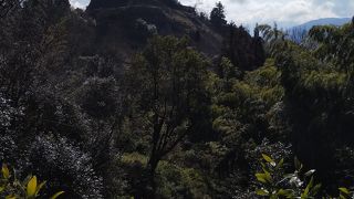 見応え抜群の山城