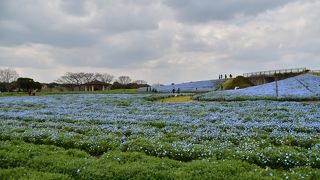 春の花々と動物に癒されました。