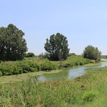 周辺は長閑です。