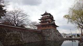 様々な桜の木が植えられている