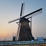 オランダ風車とお花畑