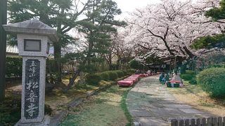 新寺で特徴的な寺