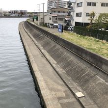 護岸の様子