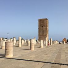 ムハンマド5世霊廟から見たハッサンの塔