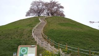 家族で過ごす休日に