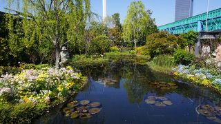 都会の喧騒を忘れさせてくれるような美しい空間