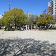 日当たりのよい公園です