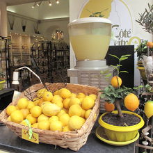 マントンまで１．５ユーロ