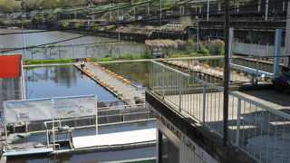 釣り堀だけではありません