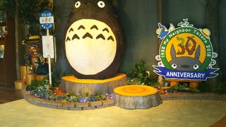 トトロと写真が撮れます