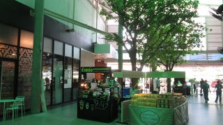 南国を感じる気分になれます