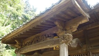 かえるみくじがかわいい！