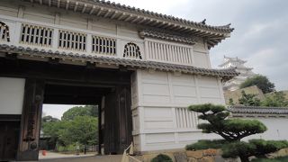 名前の由来を探してみては？