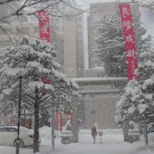 境内から鳥居方向