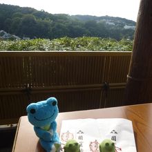 弁天堂のかえるのおみくじ