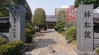 よく手入れされた庭