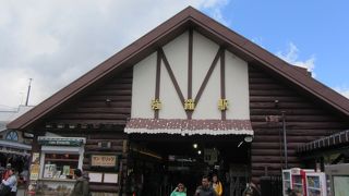 なりは小さいが乗降客は相当なもの