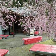 三室戸寺の庭にぽつんとある茶屋