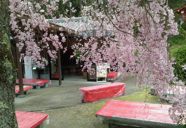 三室戸寺の庭にぽつんとある茶屋