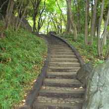 滝野川公園の中の緑の森を拓いて、遊歩道が整備されています。