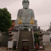 兵庫大仏がおられます