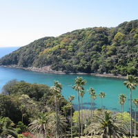 部屋からの景色