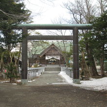 信濃神社の鳥居