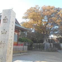 神社名を書いた石碑は、戦前の紀元二千六百年の建立