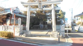 大ケヤキの木がある由緒ある神社
