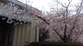 辻口氏のカフェ目当て
