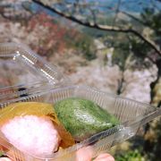 創業100年を超える老舗の和菓子店 名物の草餅