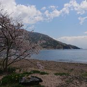 陸から湖から桜見物