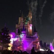 セレブレイトが始まりました。