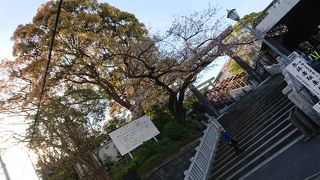 関東のお伊勢さま