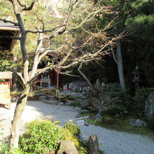 近くで井戸の撮影はできないようで、ここからパチリ