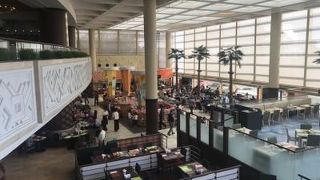 朝日を浴びながら