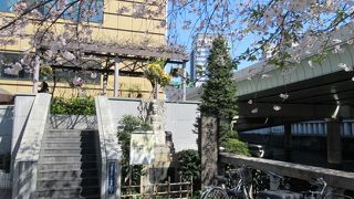 江戸時代のお食事は魚介類が中心だったのね