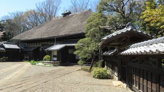 43代続く名家です